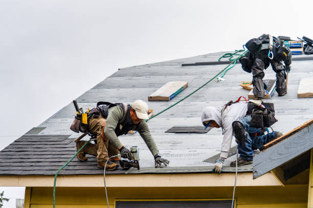 Professional Gutter Installation technician working in Romayor, TX
